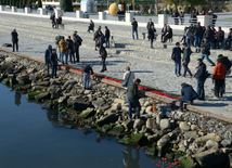 Baku residents bringing flowers to Seaside Boulevard to honor missing oil workers.  Azerbaijan, Dec.07, 2015